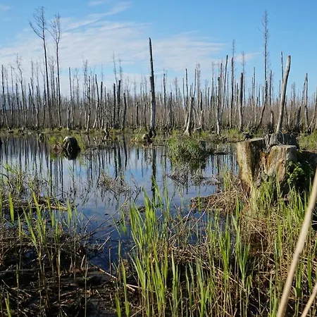 Usedom-apartment 아파트 *