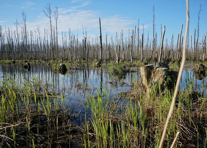 Usedom-apartment Apartment *