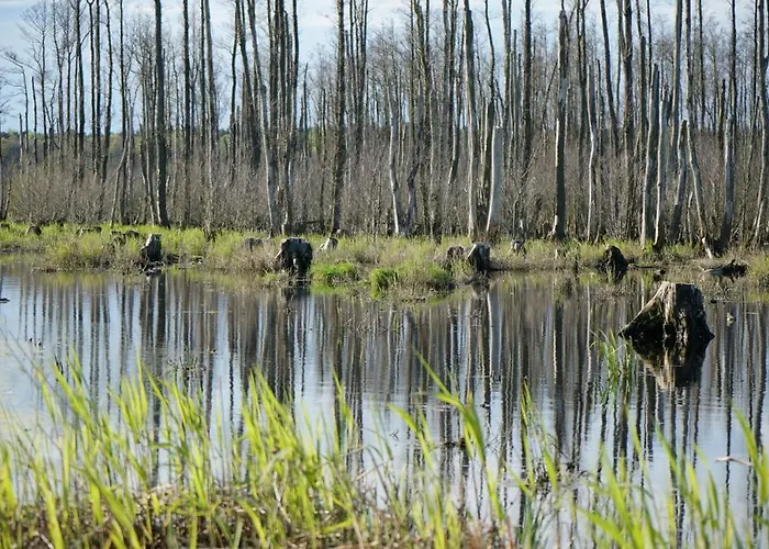 Apartman Usedom-apartment